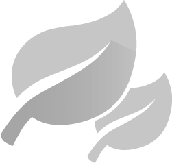 Twee bladeren – symboliseren brandstofbesparing en milieuvriendelijkheid.